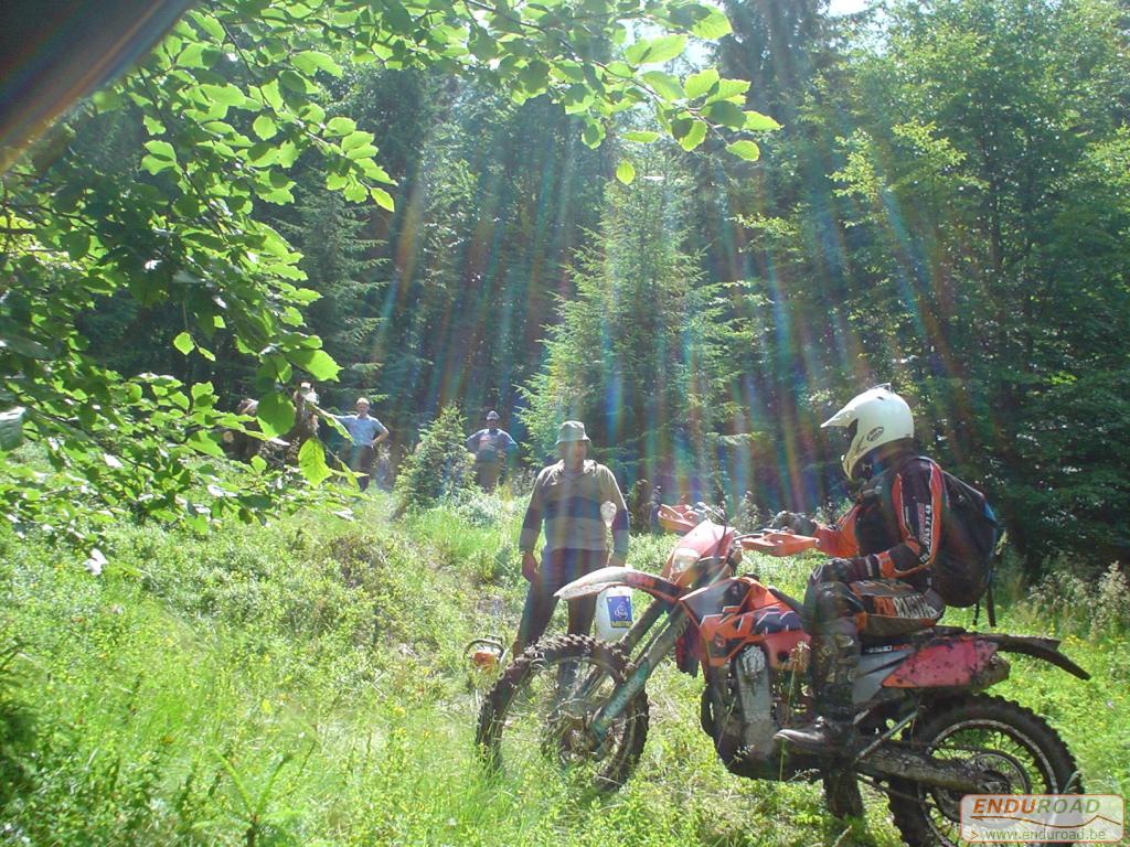 enduro rencontre avec un berger 