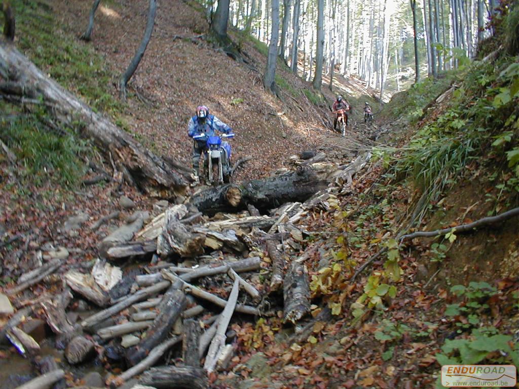 Belgians In Roemenie 2001  003 