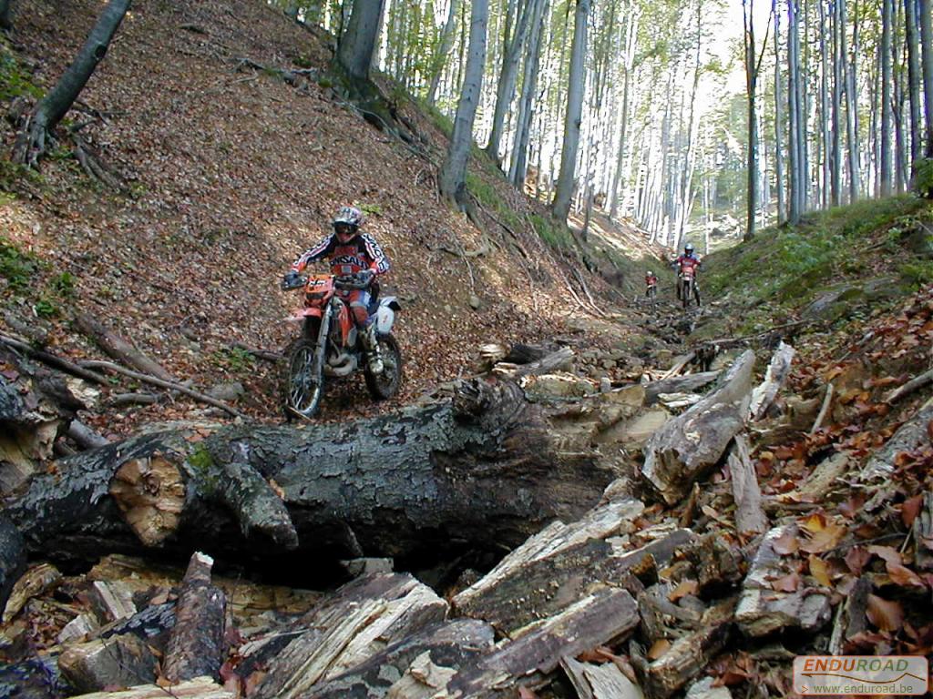 Belgians In Roemenie 2001  005 