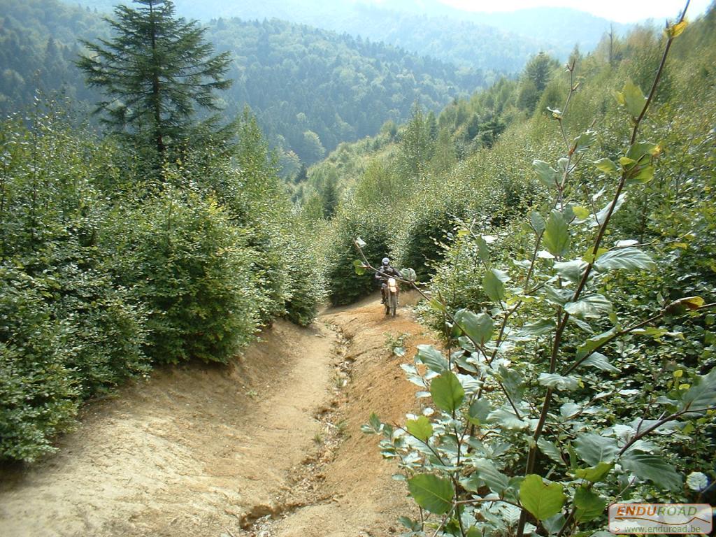 Enduro Roemenie Septembre 2003 037 