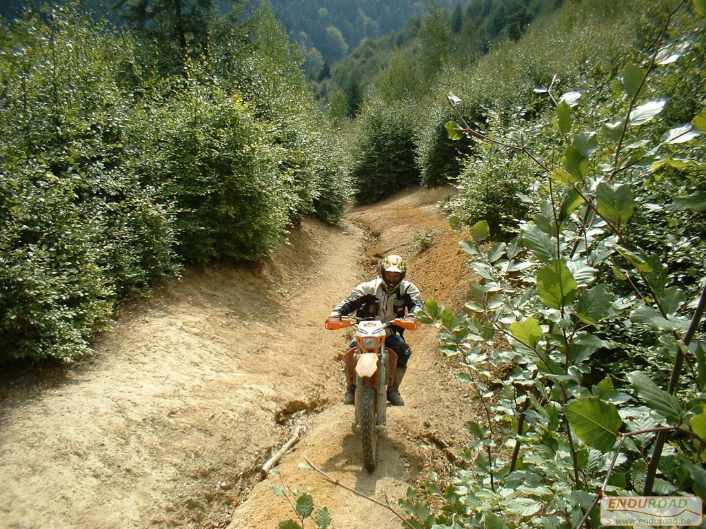 Enduro Roemenie Septembre 2003 039 