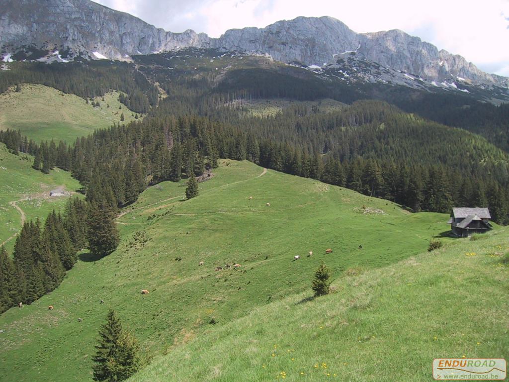 Enduro Roumanie Mai 2005 004 