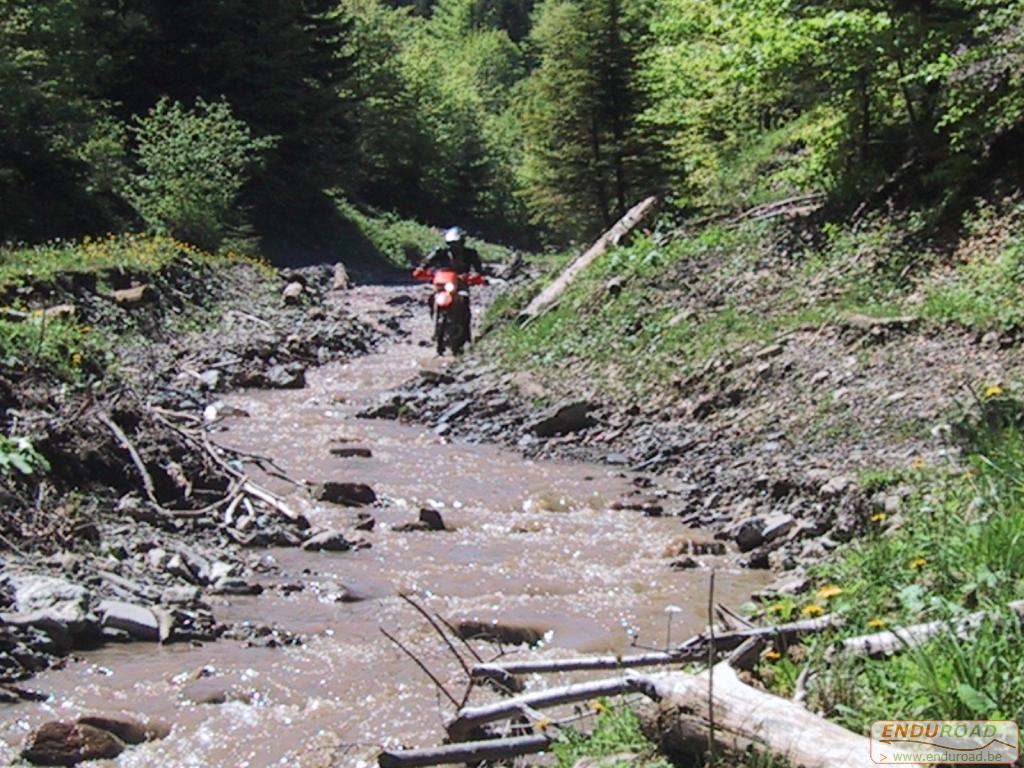 Enduro Roumanie Mai 2005 022 