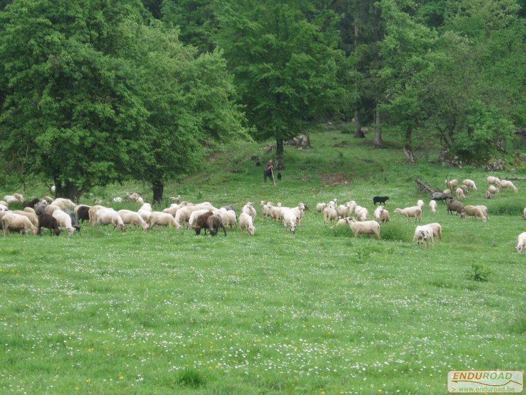 Enduro Roumanie Mai 2005 053 