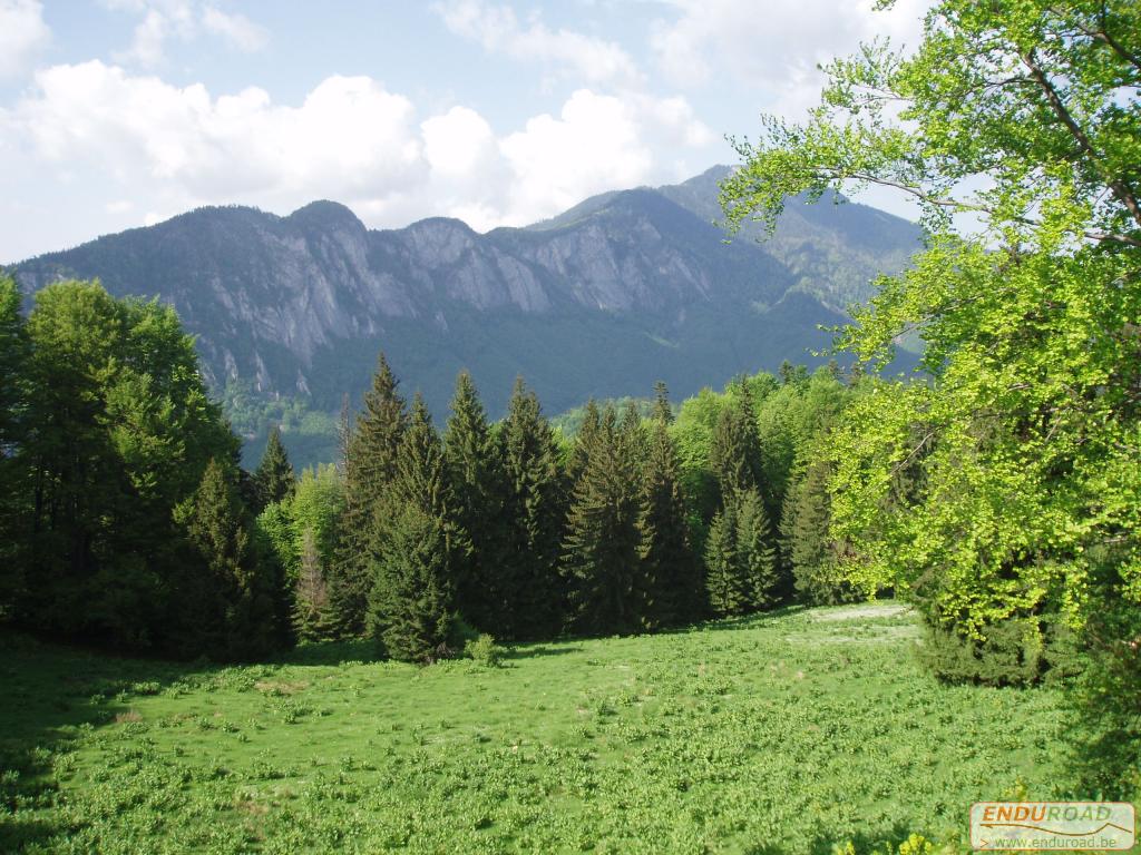 Enduro Roumanie Mai 2005 066 