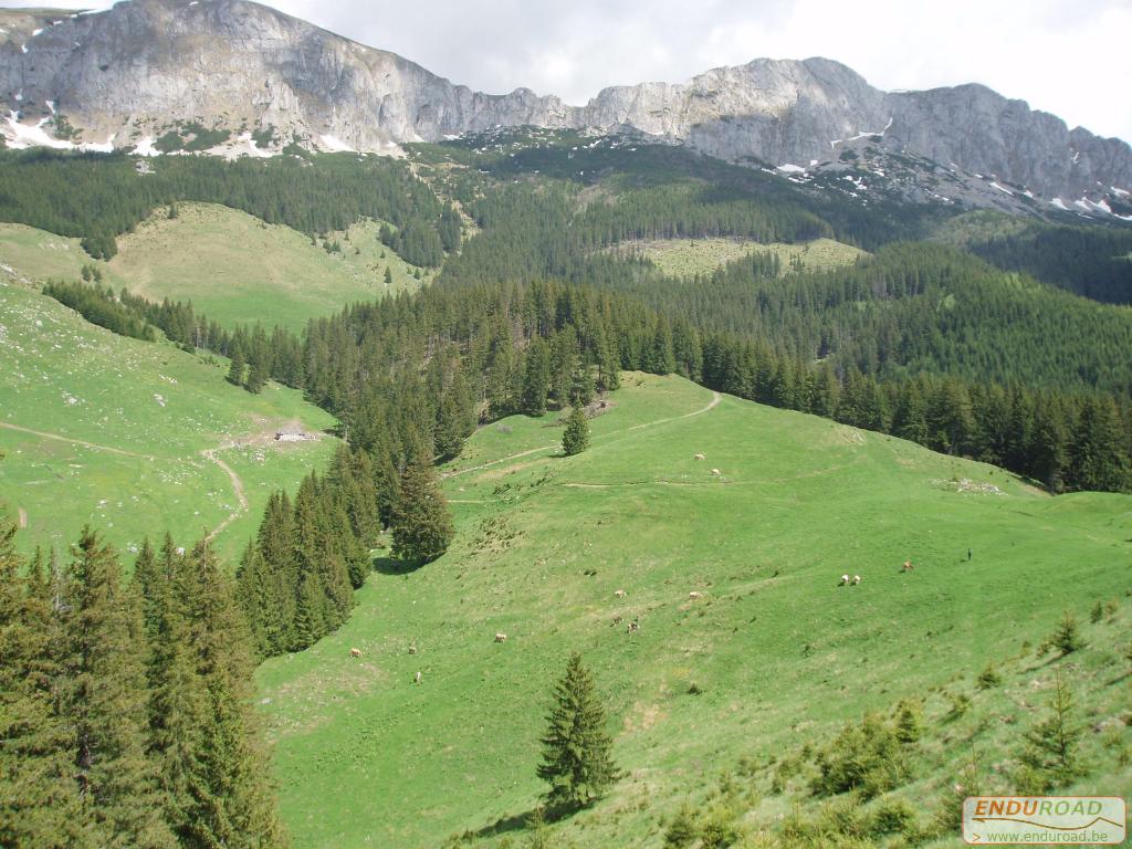 Enduro Roumanie Mai 2005 129 