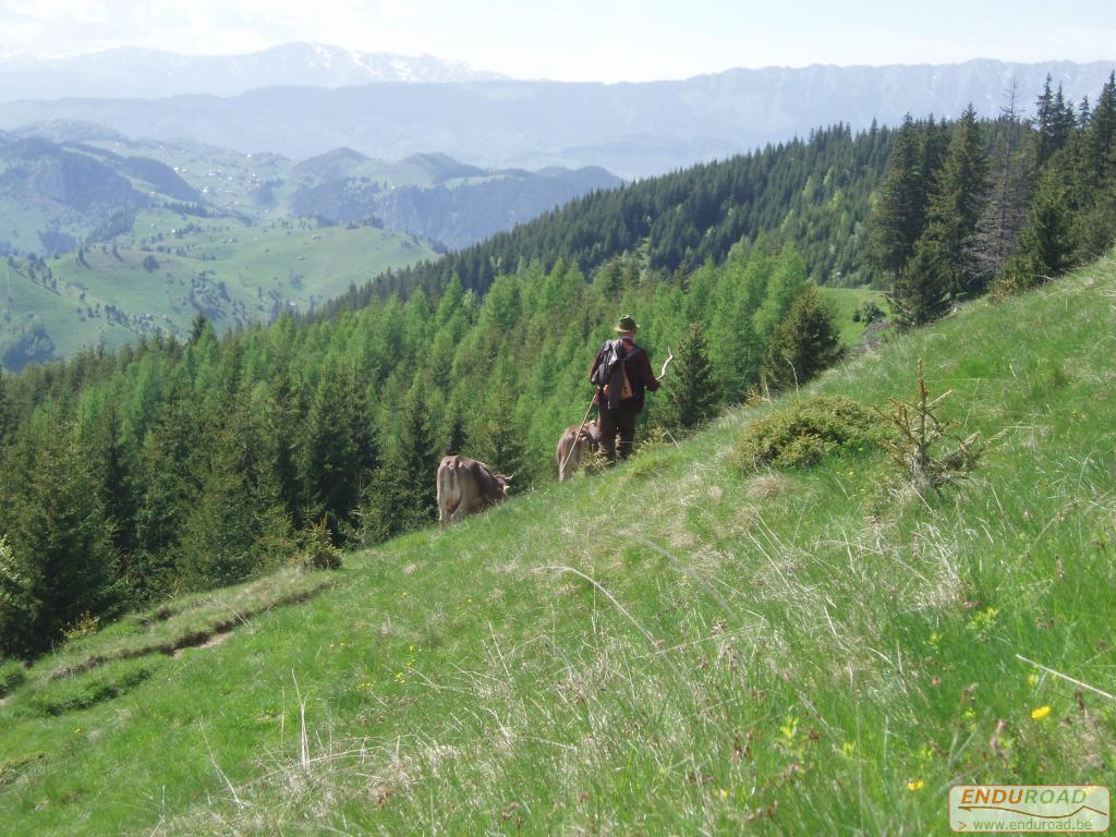 Enduro Roumanie Mai 2005 136 