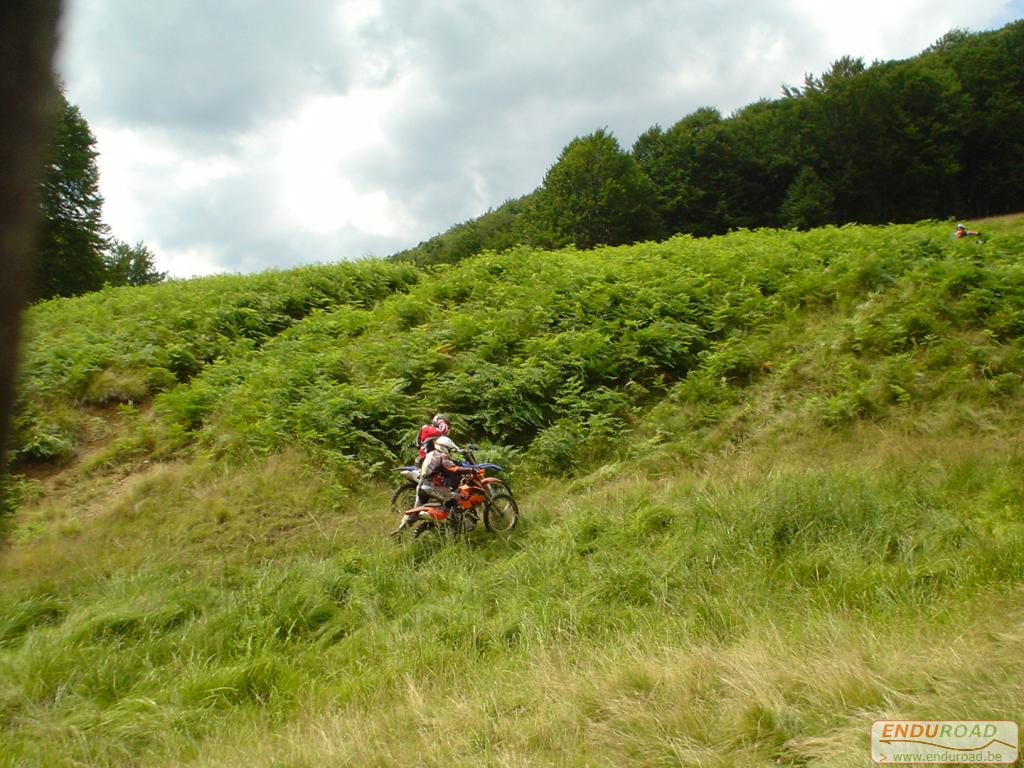 Enduro Roumanie juillet 2005 004 