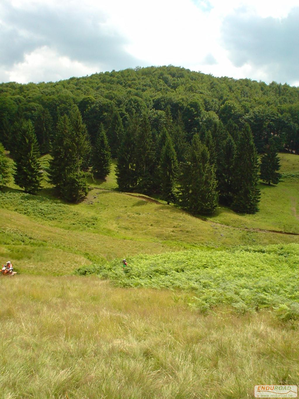 Enduro Roumanie juillet 2005 005 