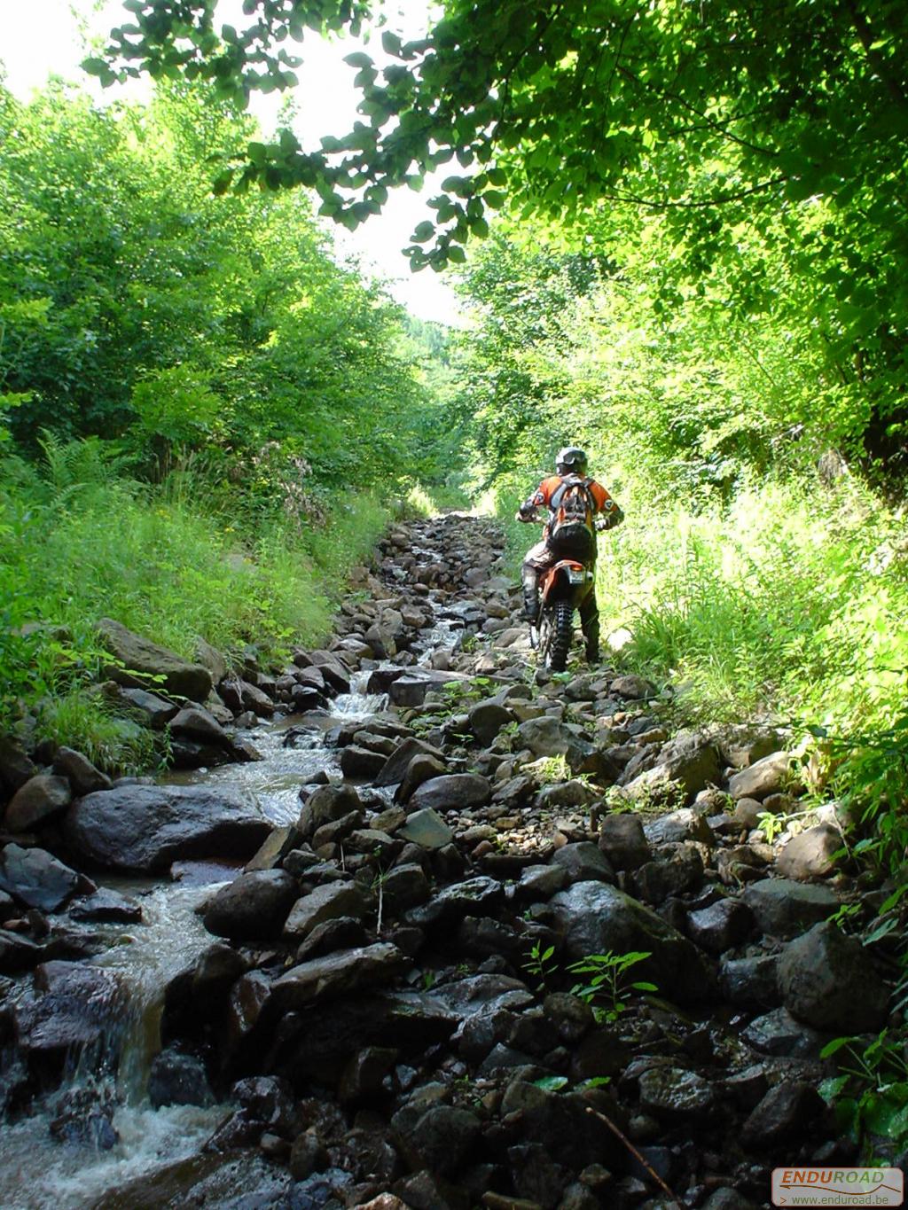 Enduro Roumanie juillet 2005 008 