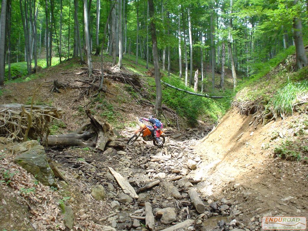 Enduro Roumanie juillet 2005 014 