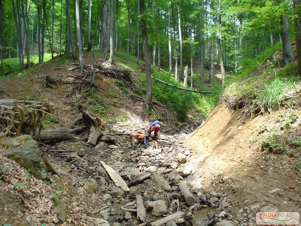 Enduro Roumanie juillet 2005 015 