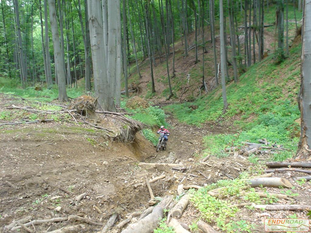 Enduro Roumanie juillet 2005 016 