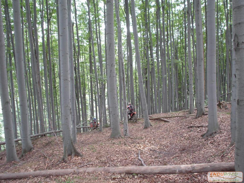 Enduro Roumanie juillet 2005 018 