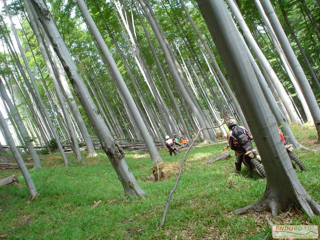 Enduro Roumanie juillet 2005 019 