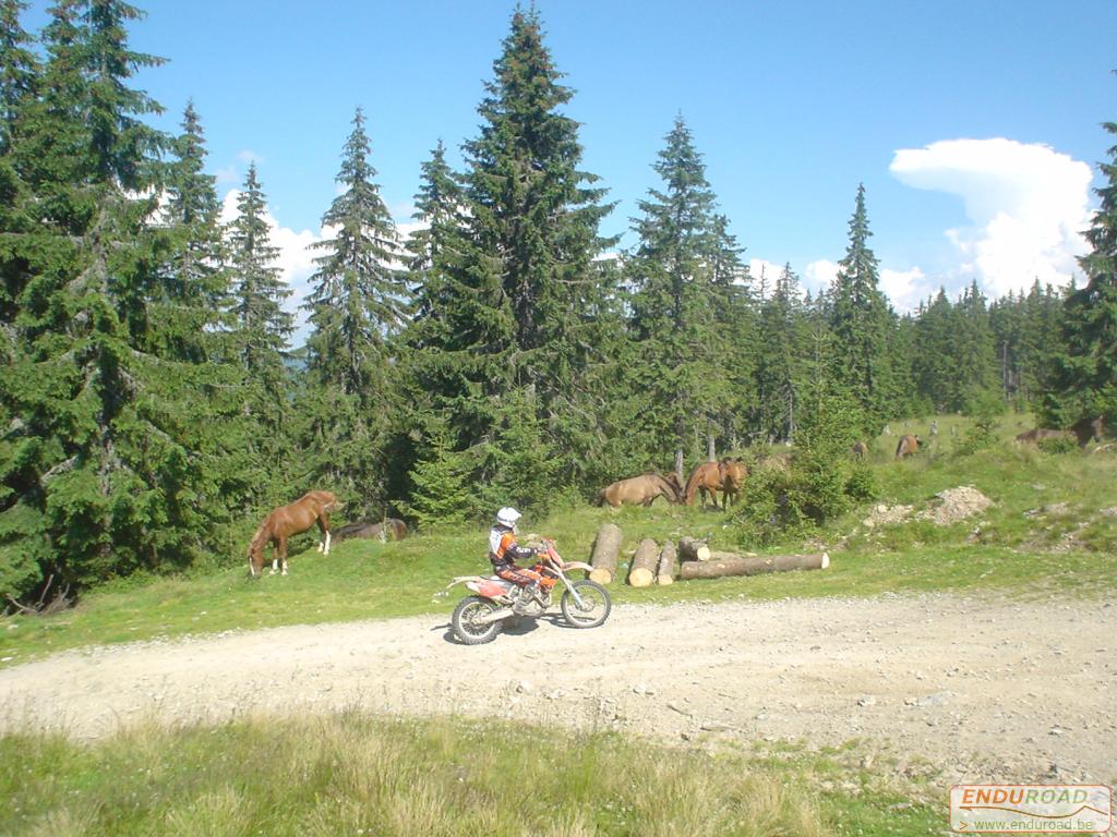 Enduro Roumanie juillet 2005 046 