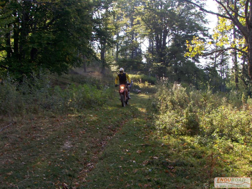 balade enduro predeal 2011 011 