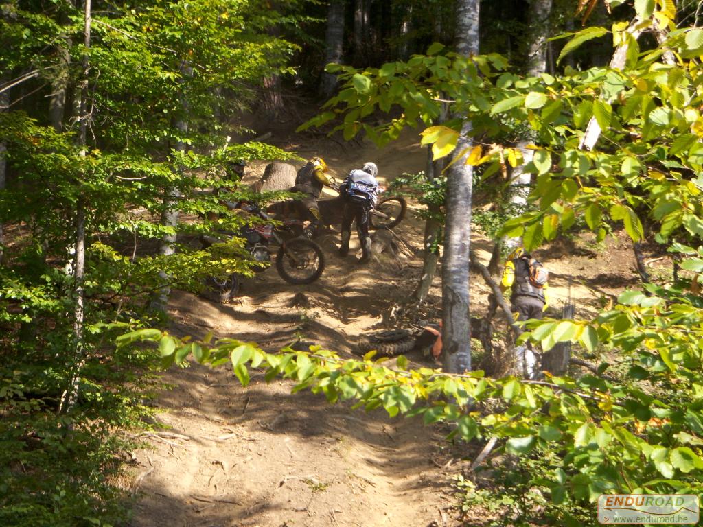 balade enduro predeal 2011 015 