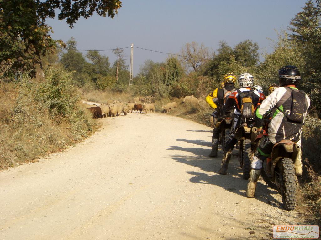 balade enduro predeal 2011 056 