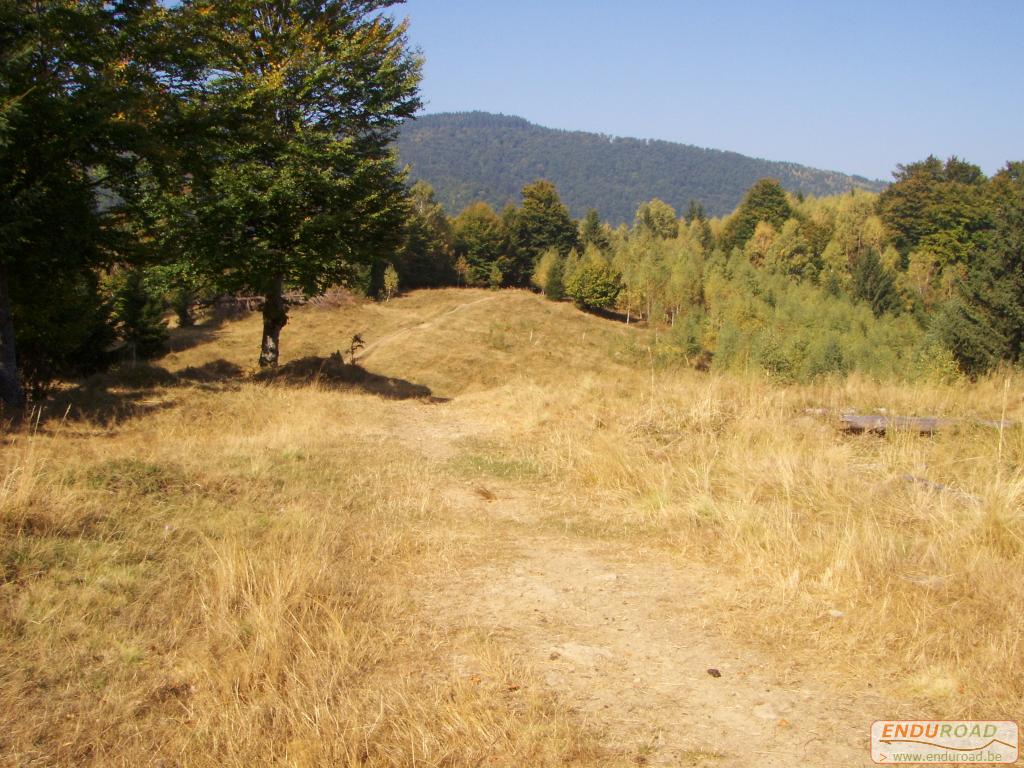 balade enduro predeal 2011 064 