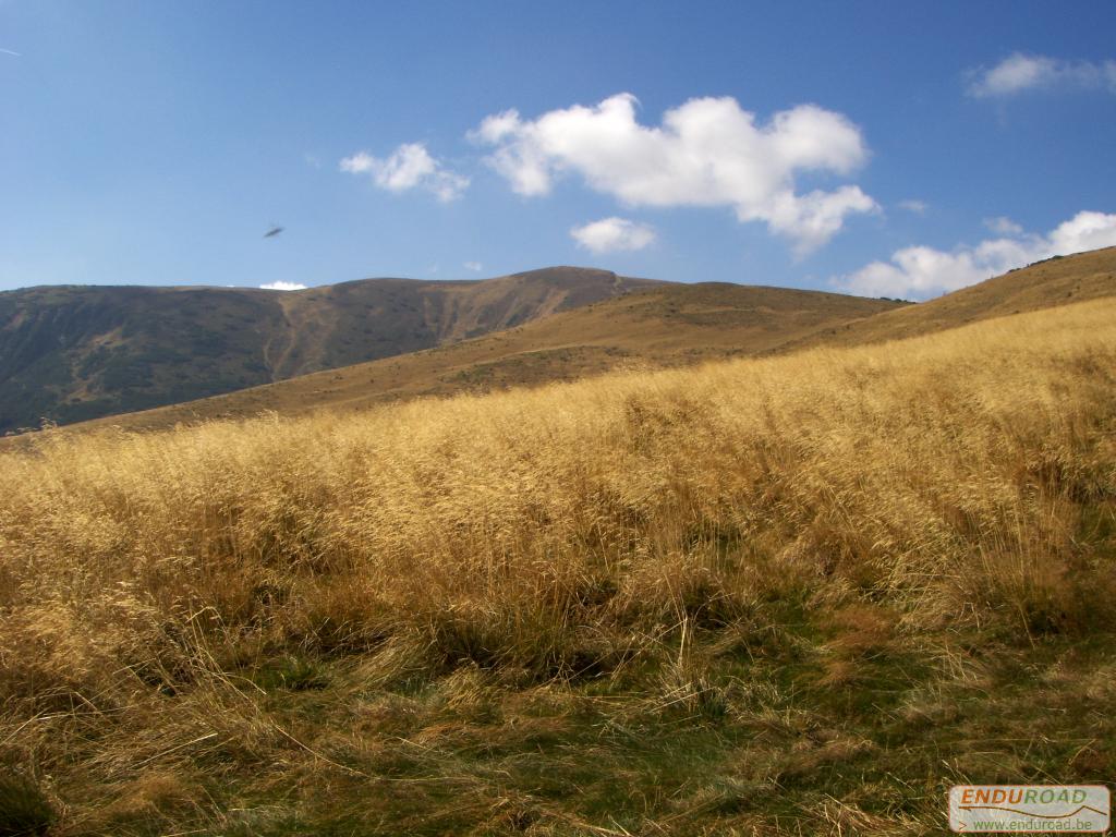 balade enduro predeal 2011 070 