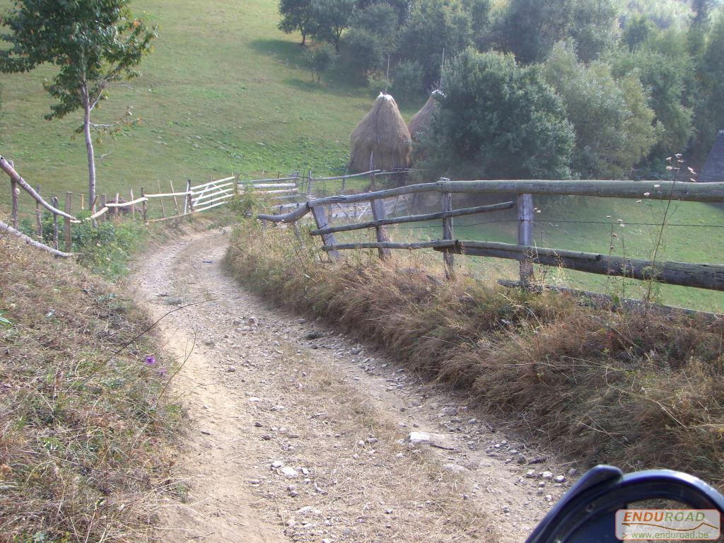 balade enduro predeal 2011 106 