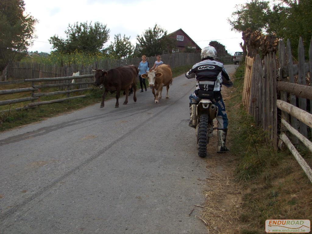 balade enduro predeal 2011 129 