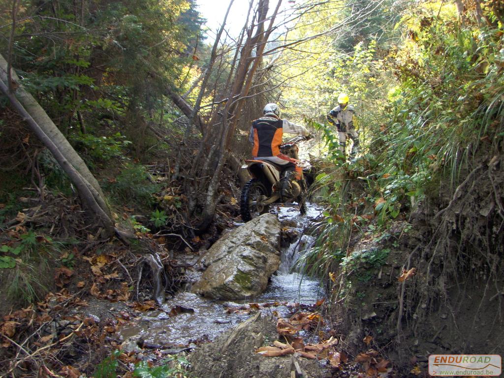 balade enduro predeal 2011 136 