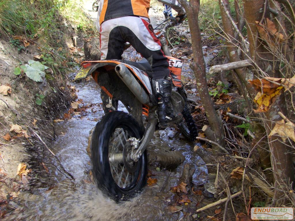 balade enduro predeal 2011 141 