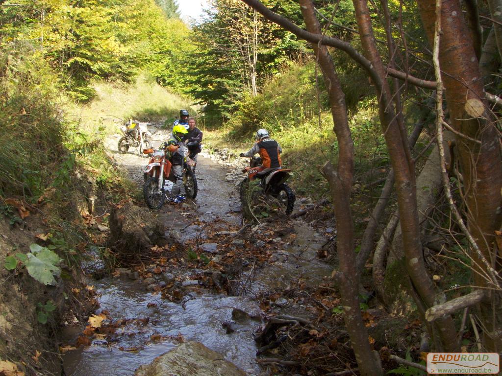 balade enduro predeal 2011 142 