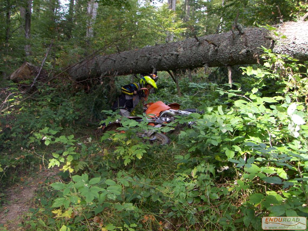 balade enduro predeal 2011 146 