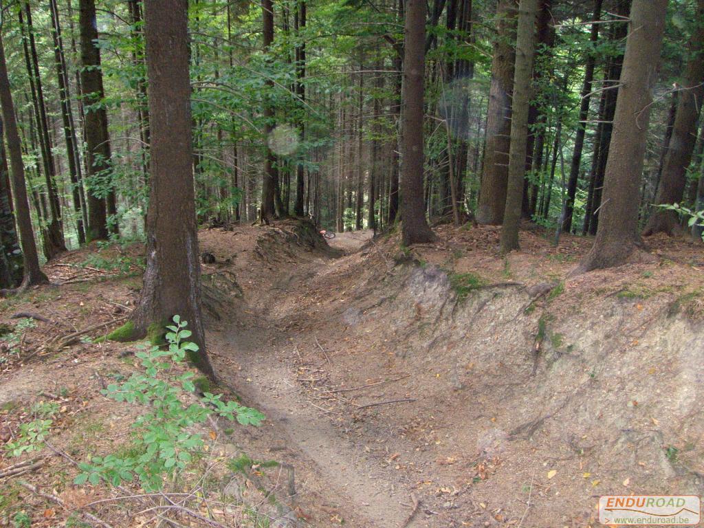 balade enduro predeal 2011 172 