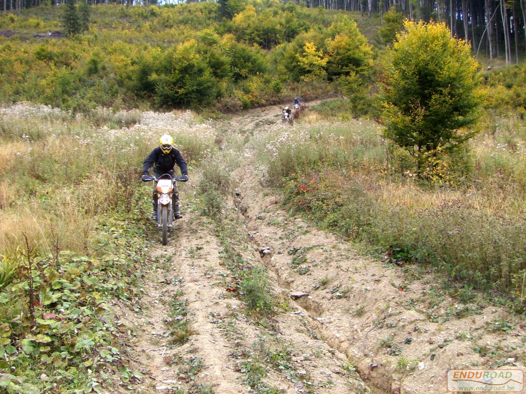 balade enduro predeal 2011 181 