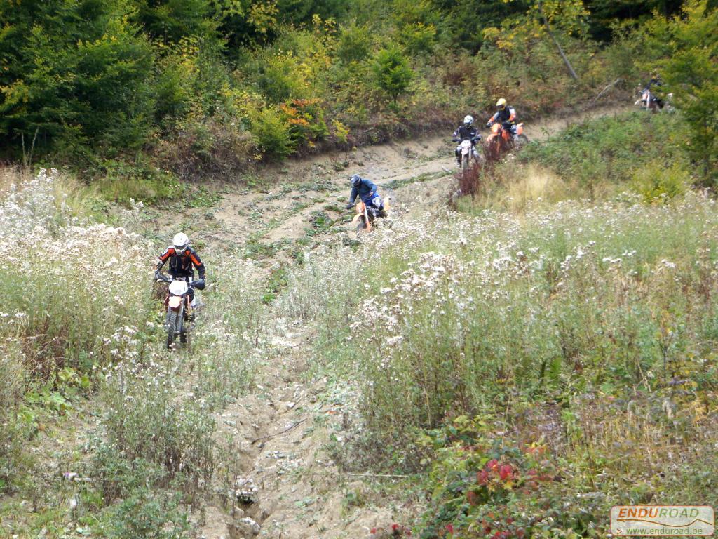 balade enduro predeal 2011 182 