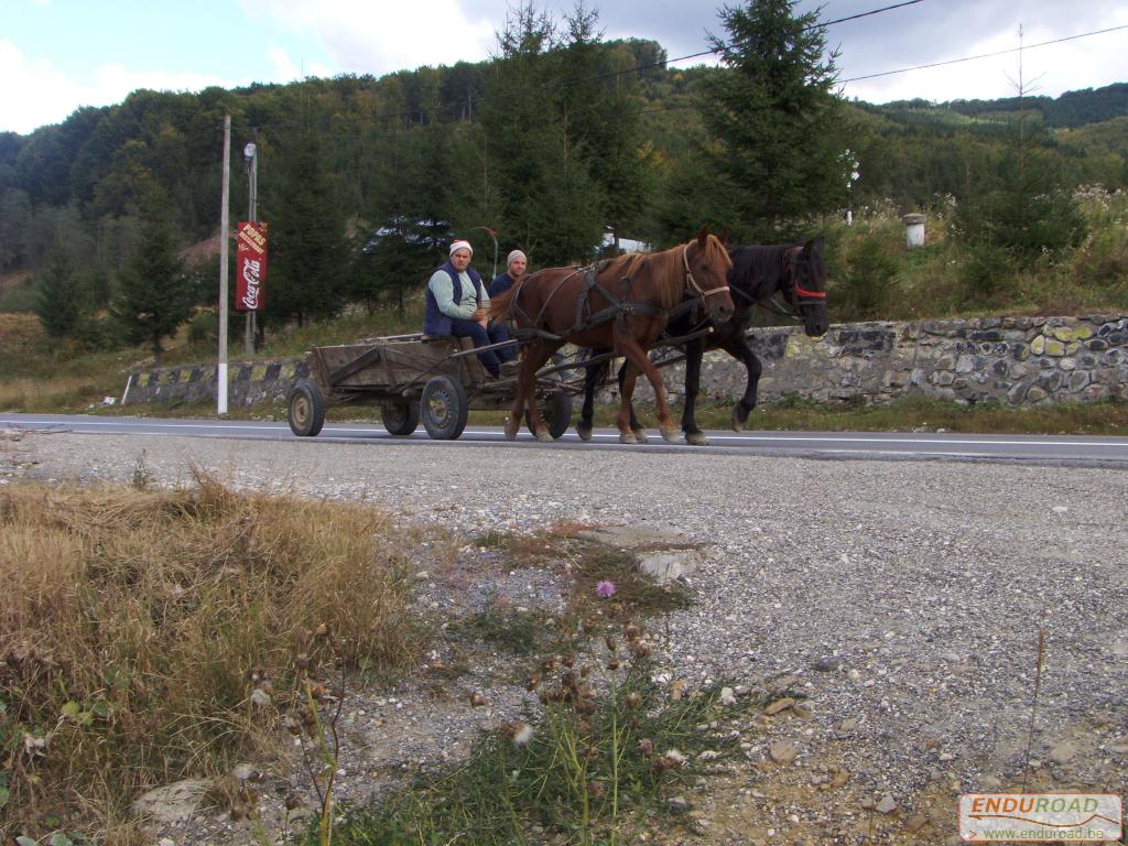 balade enduro predeal 2011 189 