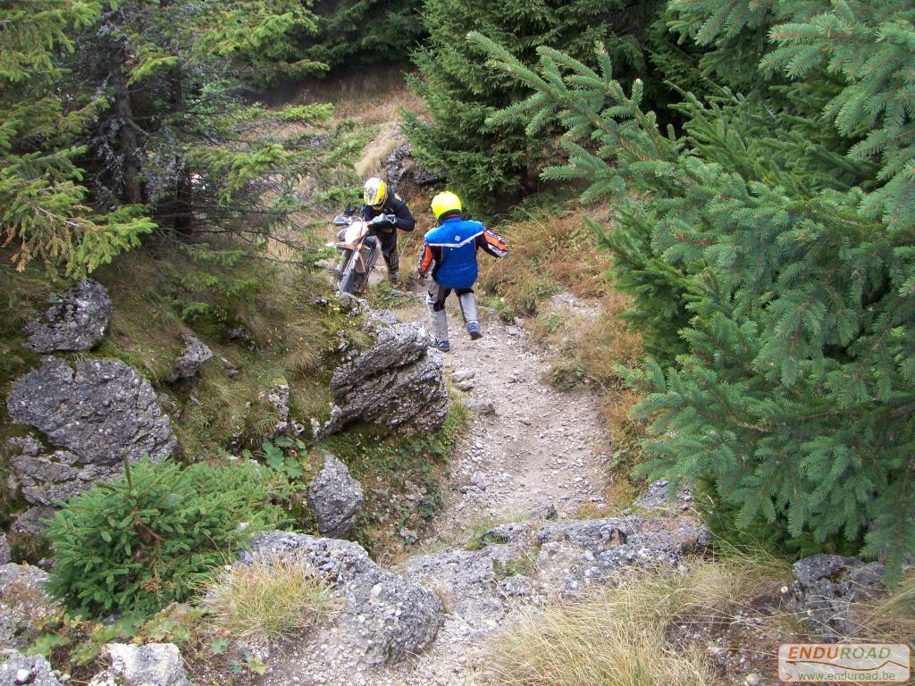 balade enduro predeal 2011 190 