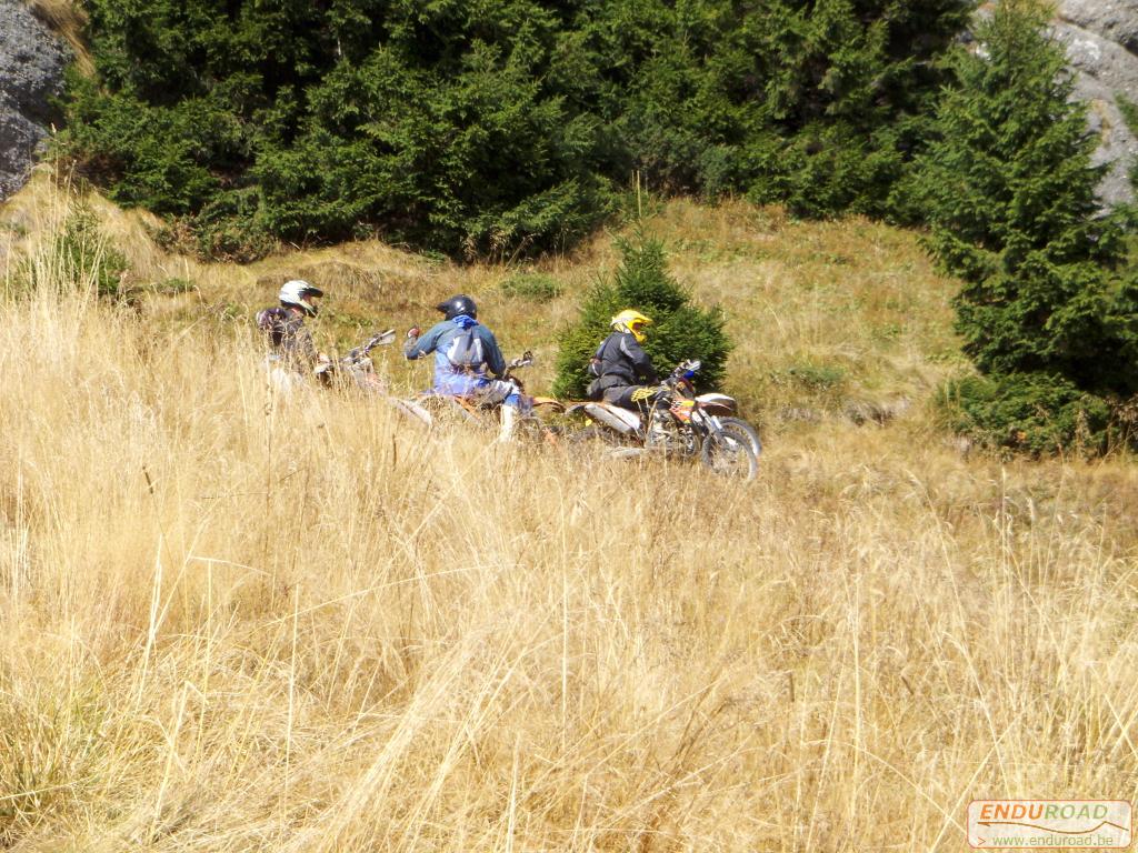 balade enduro predeal 2011 197 