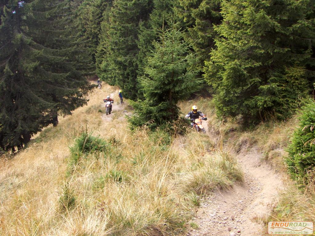 balade enduro predeal 2011 200 