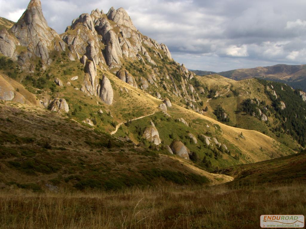 balade enduro predeal 2011 205 