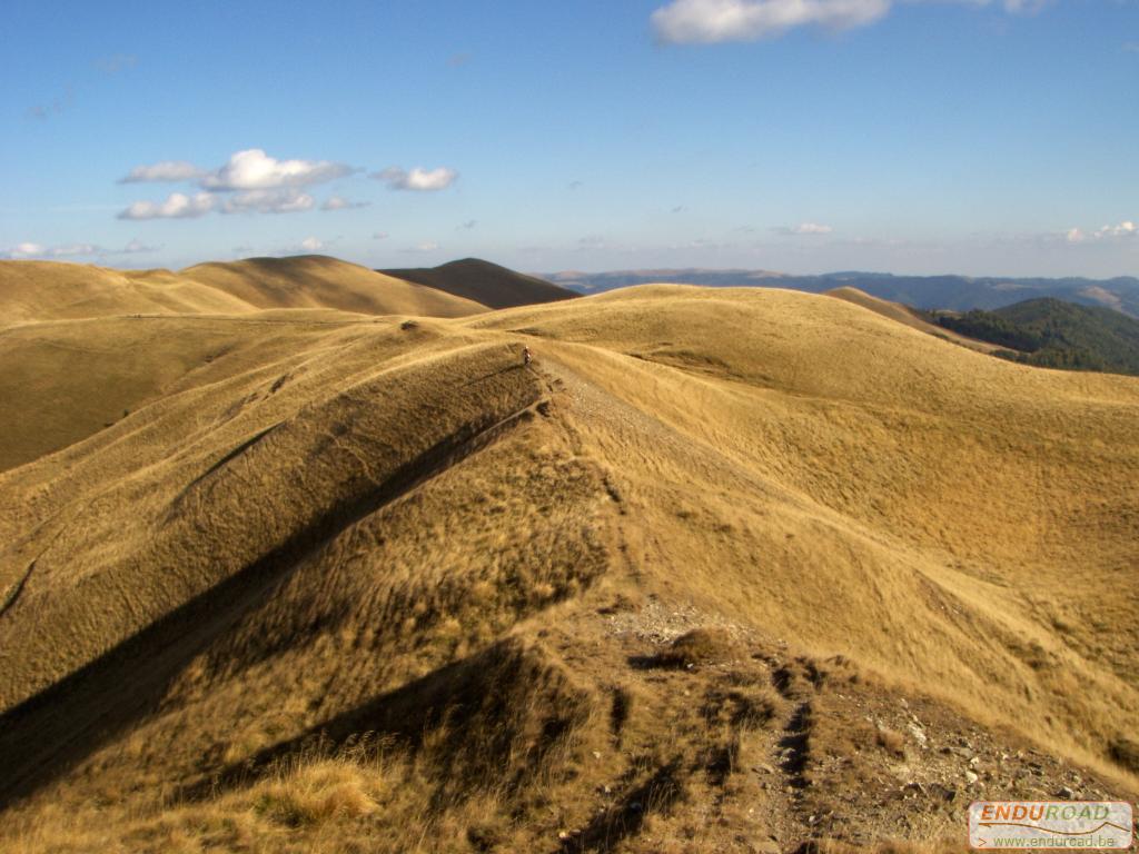 balade enduro predeal 2011 256 