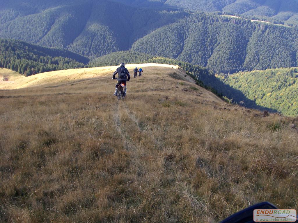 balade enduro predeal 2011 259 