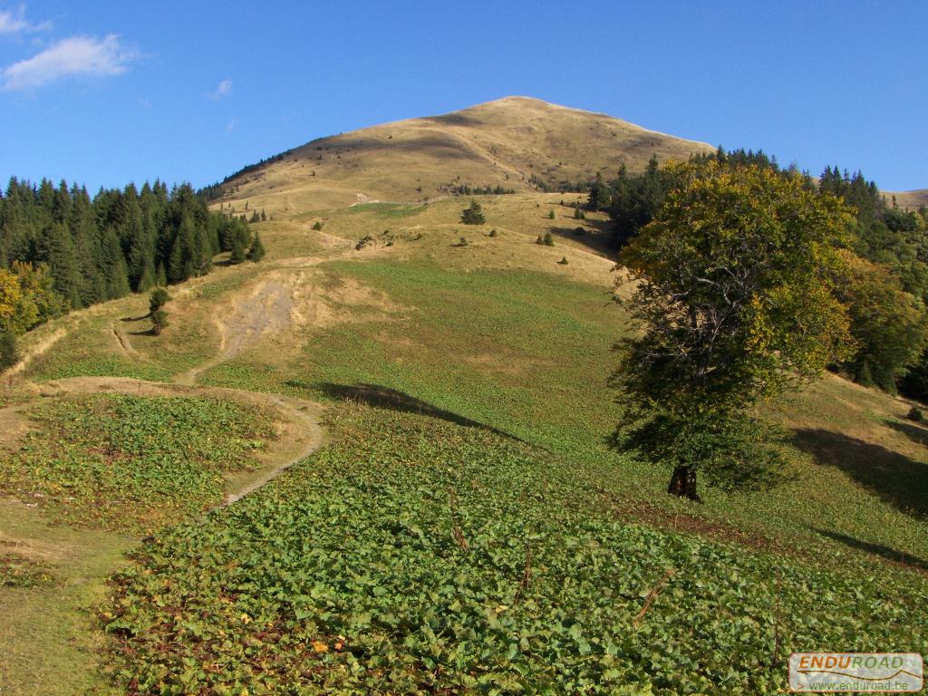 balade enduro predeal 2011 266 